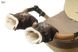 Рукавички-Муфта на коляску Ok Style Сніжинка Темно-коричневий №1 7182 фото 1